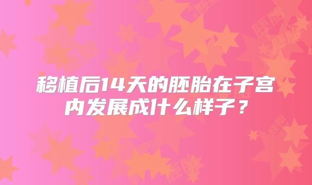 移植后14天的胚胎在子宫内发展成什么样子？