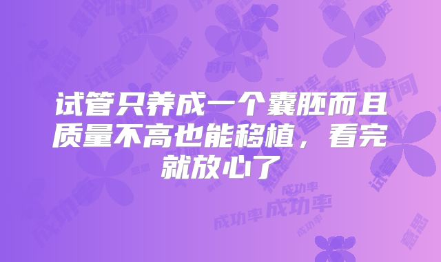 试管只养成一个囊胚而且质量不高也能移植，看完就放心了
