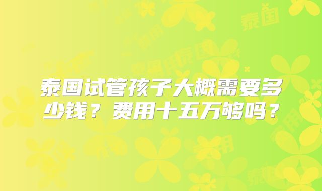 泰国试管孩子大概需要多少钱？费用十五万够吗？