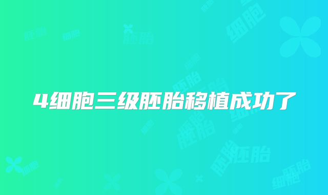 4细胞三级胚胎移植成功了