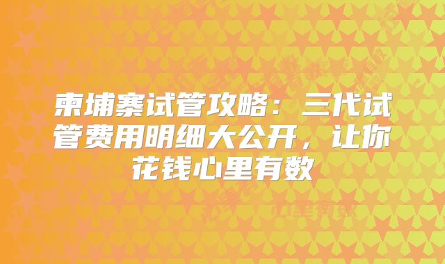 柬埔寨试管攻略：三代试管费用明细大公开，让你花钱心里有数