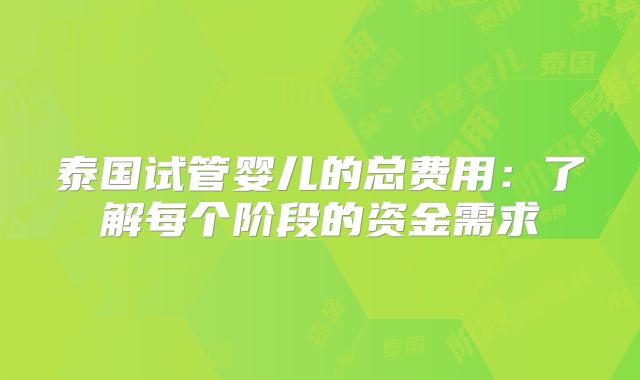 泰国试管婴儿的总费用：了解每个阶段的资金需求