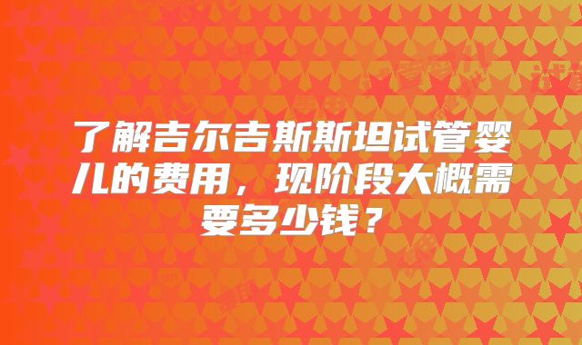 了解吉尔吉斯斯坦试管婴儿的费用，现阶段大概需要多少钱？
