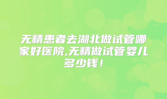 无精患者去湖北做试管哪家好医院,无精做试管婴儿多少钱！