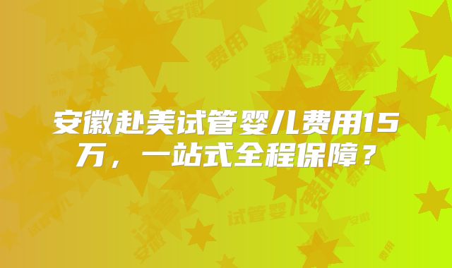 安徽赴美试管婴儿费用15万，一站式全程保障？