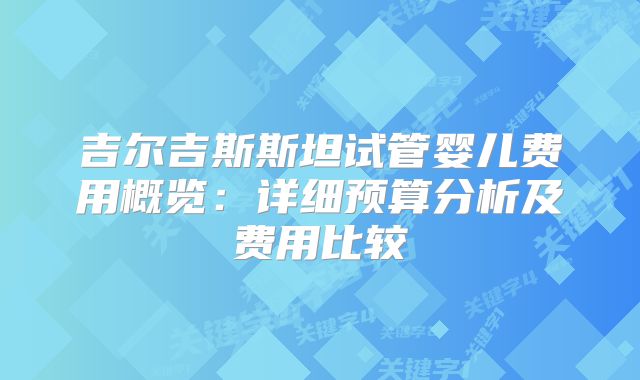 吉尔吉斯斯坦试管婴儿费用概览：详细预算分析及费用比较