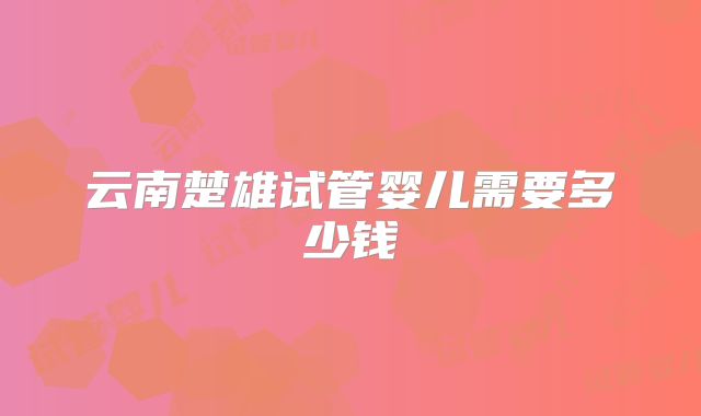 云南楚雄试管婴儿需要多少钱
