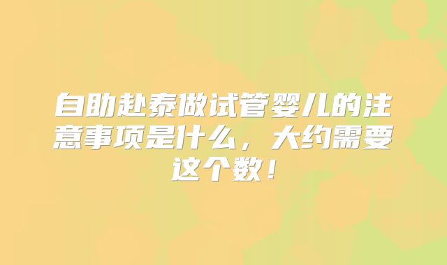 自助赴泰做试管婴儿的注意事项是什么,大约需要这个数!
