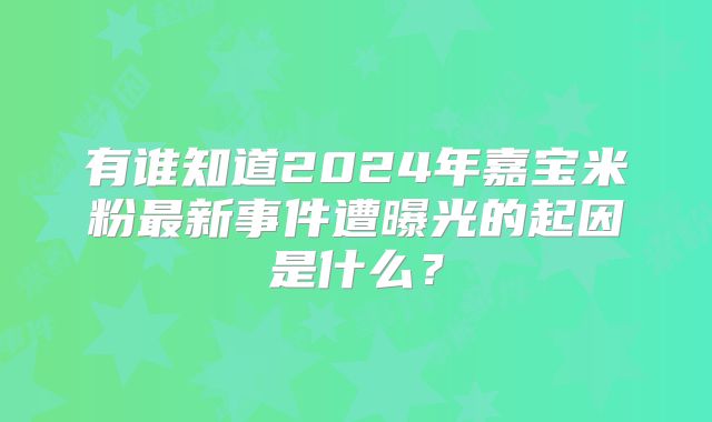 有谁知道2024年嘉宝米粉最新事件遭曝光的起因是什么？