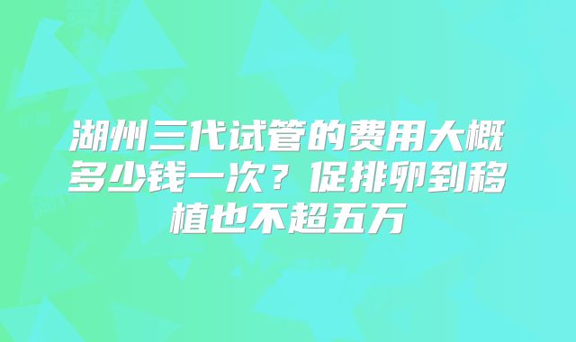 湖州三代试管的费用大概多少钱一次？促排卵到移植也不超五万