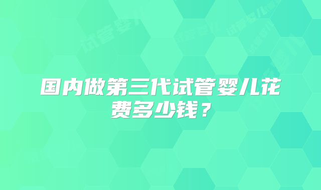 国内做第三代试管婴儿花费多少钱?