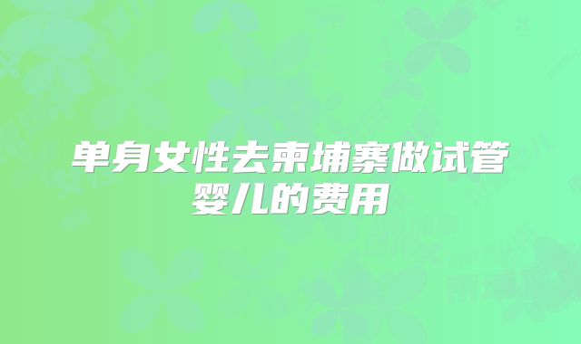 单身女性去柬埔寨做试管婴儿的费用
