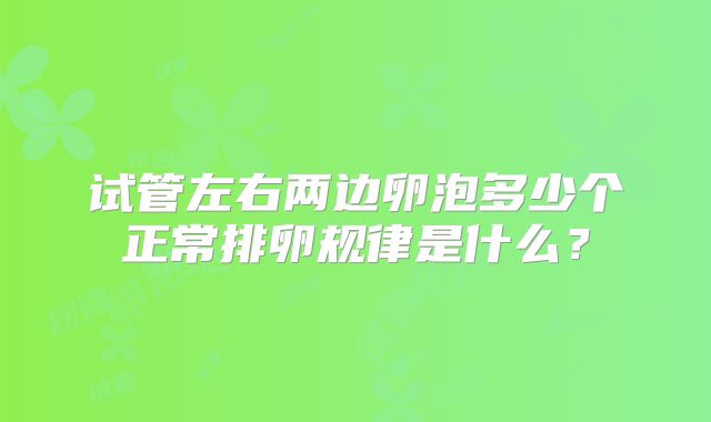 试管左右两边卵泡多少个正常排卵规律是什么？
