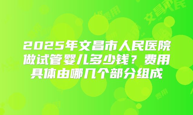 2025年文昌市人民医院做试管婴儿多少钱?费用具体由哪几个部分组成