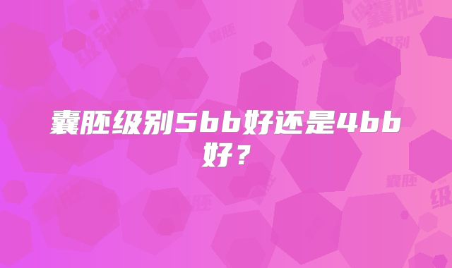 囊胚级别5bb好还是4bb好？