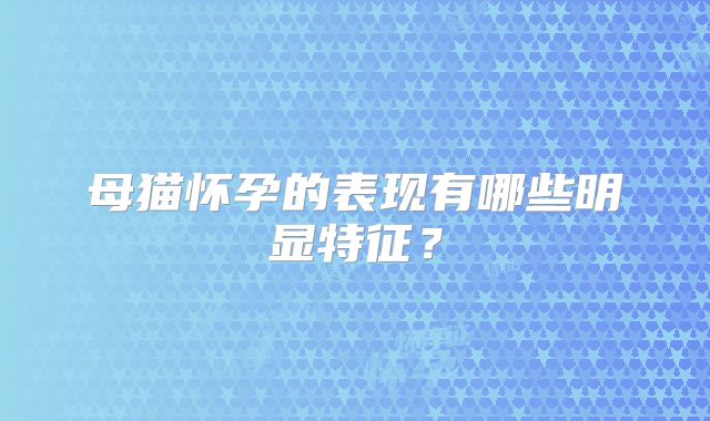 母猫怀孕的表现有哪些明显特征？