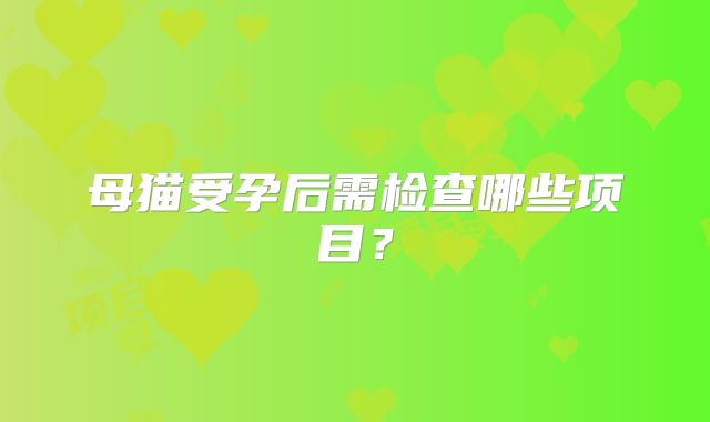 母猫受孕后需检查哪些项目?