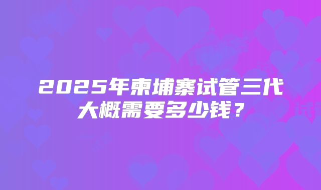 2025年柬埔寨试管三代大概需要多少钱？
