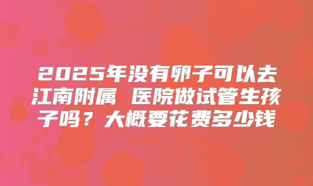 2025年没有卵子可以去江南附属 医院做试管生孩子吗？大概要花费多少钱