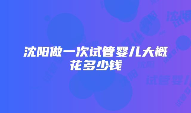 沈阳做一次试管婴儿大概花多少钱