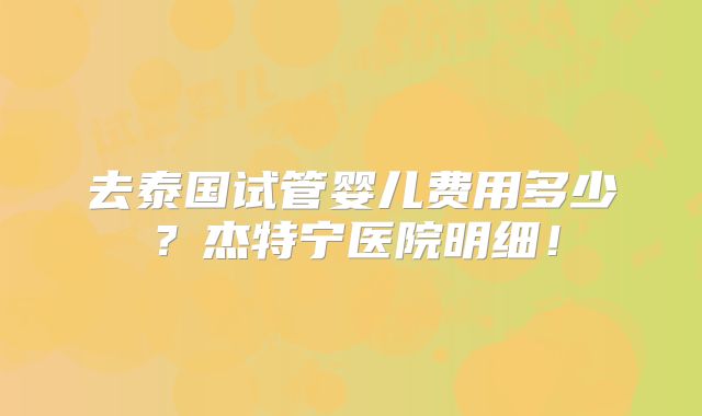 去泰国试管婴儿费用多少？杰特宁医院明细！