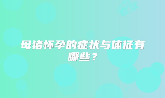 母猪怀孕的症状与体征有哪些?