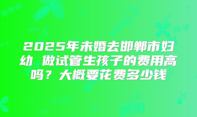 2025年未婚去邯郸市妇幼 做试管生孩子的费用高吗？大概要花费多少钱