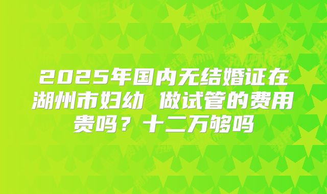 2025年国内无结婚证在湖州市妇幼 做试管的费用贵吗？十二万够吗