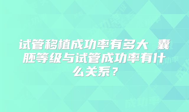 试管移植成功率有多大 囊胚等级与试管成功率有什么关系?