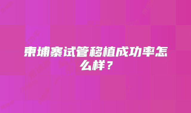 柬埔寨试管移植成功率怎么样？