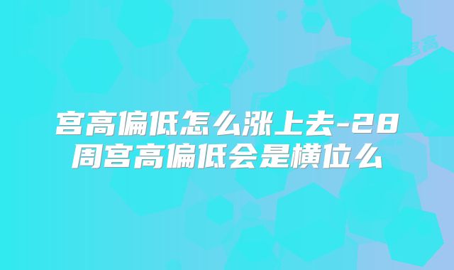 宫高偏低怎么涨上去-28周宫高偏低会是横位么