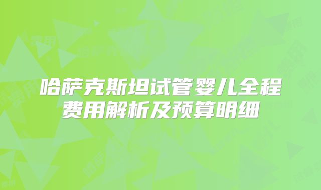 哈萨克斯坦试管婴儿全程费用解析及预算明细