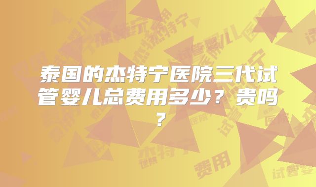泰国的杰特宁医院三代试管婴儿总费用多少?贵吗?