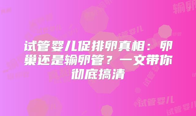 试管婴儿促排卵真相:卵巢还是输卵管?一文带你彻底搞清