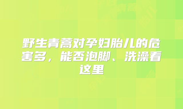 野生青蒿对孕妇胎儿的危害多,能否泡脚、洗澡看这里