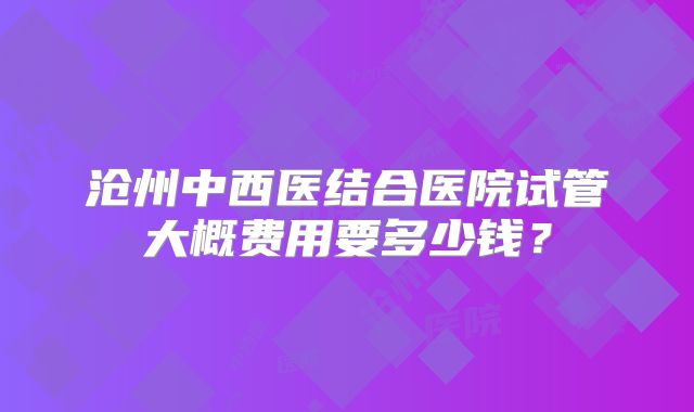 沧州中西医结合医院试管大概费用要多少钱？