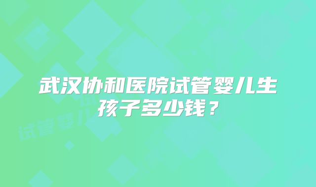 武汉协和医院试管婴儿生孩子多少钱？