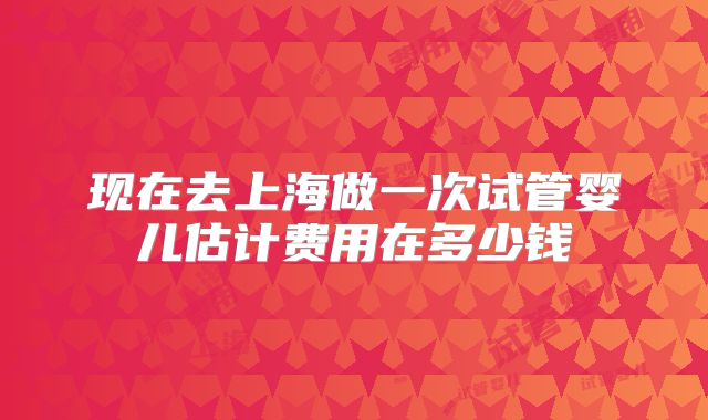 现在去上海做一次试管婴儿估计费用在多少钱