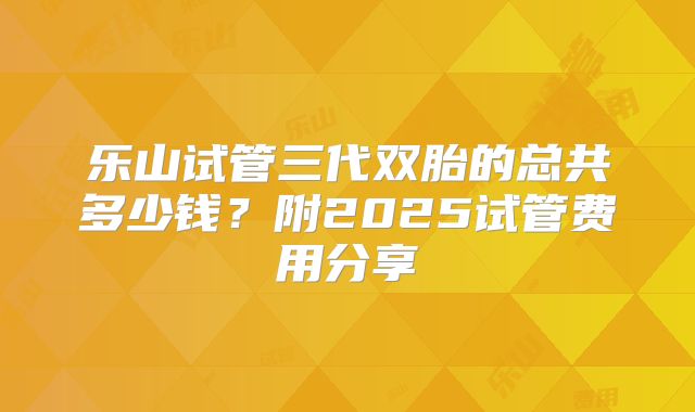 乐山试管三代双胎的总共多少钱？附2025试管费用分享
