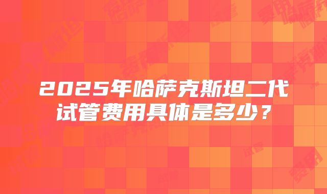 2025年哈萨克斯坦二代试管费用具体是多少？