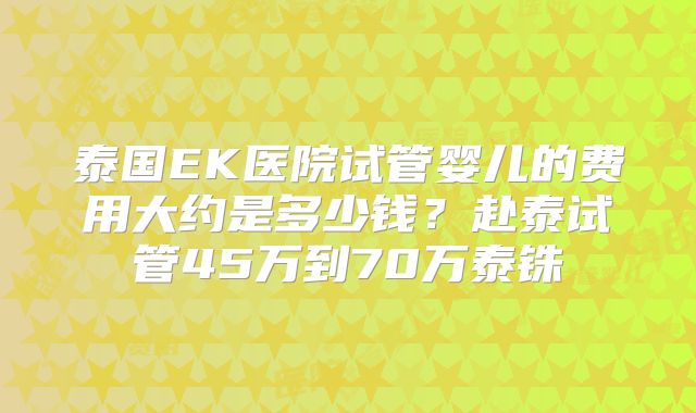 泰国EK医院试管婴儿的费用大约是多少钱？赴泰试管45万到70万泰铢