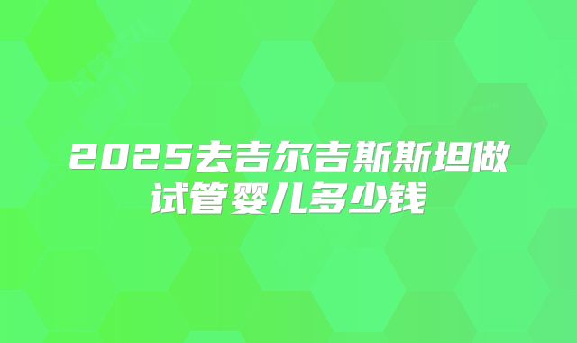 2025去吉尔吉斯斯坦做试管婴儿多少钱