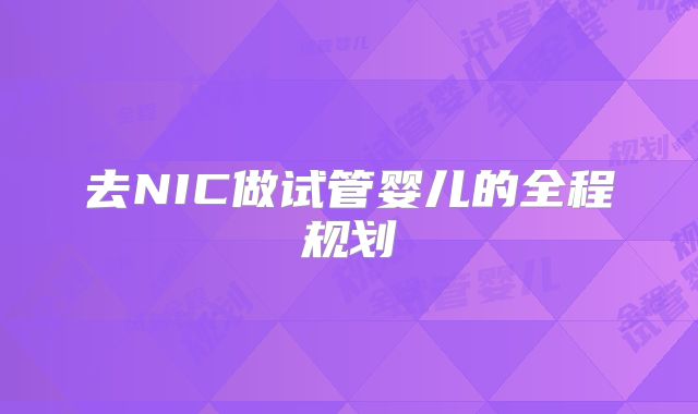 去NIC做试管婴儿的全程规划