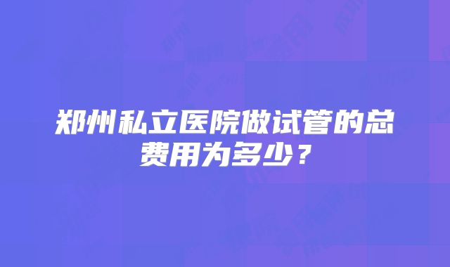 郑州私立医院做试管的总费用为多少？