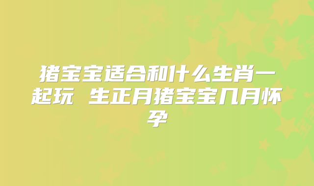 猪宝宝适合和什么生肖一起玩 生正月猪宝宝几月怀孕