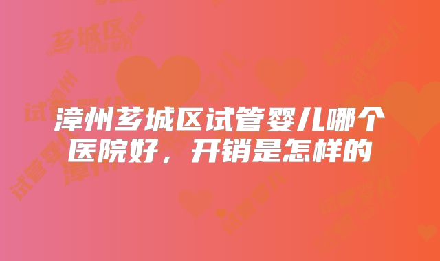 漳州芗城区试管婴儿哪个医院好，开销是怎样的