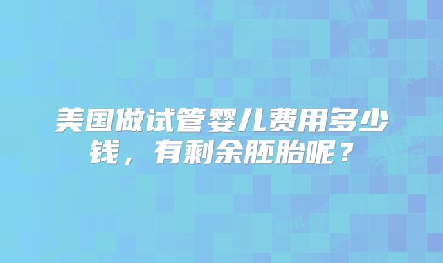 美国做试管婴儿费用多少钱，有剩余胚胎呢？