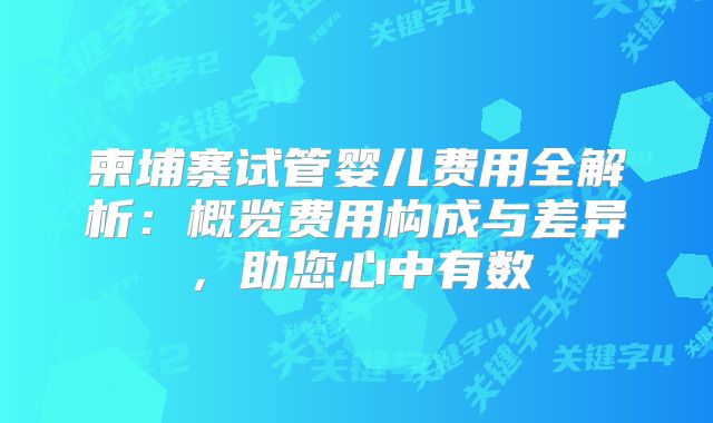 柬埔寨试管婴儿费用全解析：概览费用构成与差异，助您心中有数