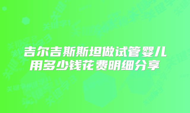 吉尔吉斯斯坦做试管婴儿用多少钱花费明细分享
