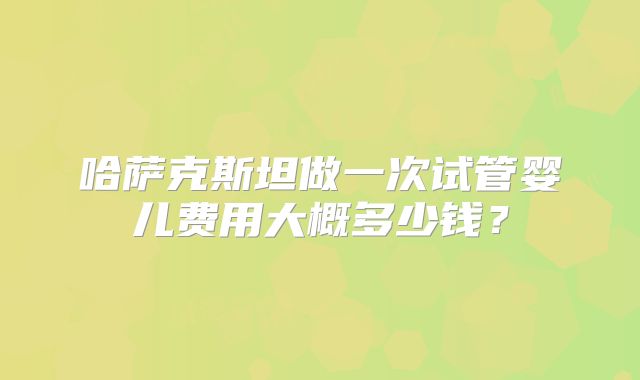 哈萨克斯坦做一次试管婴儿费用大概多少钱？